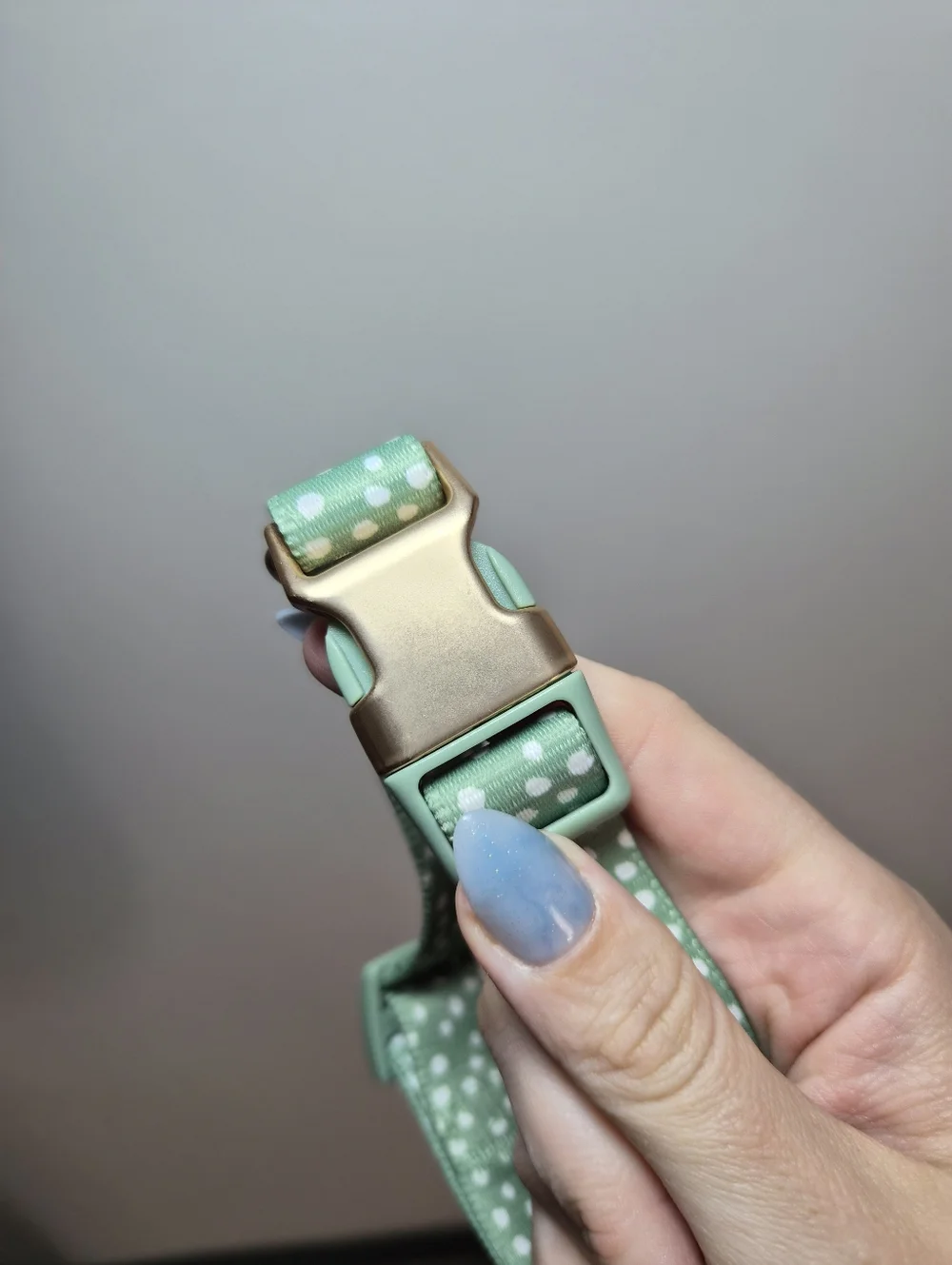 Adjustable Mint Green Polka Dot Dog Collar with Gold Hardware